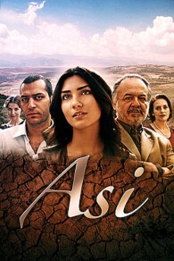 Asi Cover