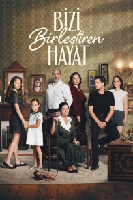 Bizi Birlestiren Hayat Cover