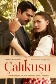 Calikusu Cover
