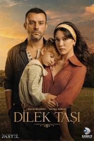 Dilek Tasi Cover