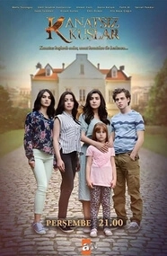 Kanatsiz Kuslar Cover