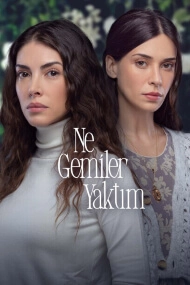Ne Gemiler Yaktim Cover