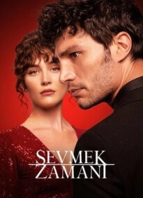 Sevmek Zamani Cover